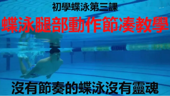 蝶泳如何用打腿节奏省力？调整呼吸频率是关键