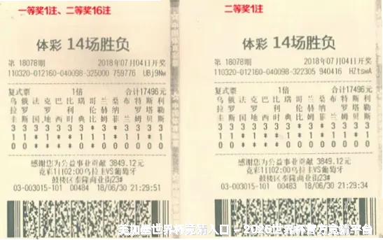 核心团队：数据与人文并重